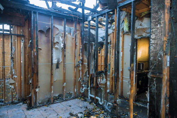 Professional Fire Damage Removal technician working in Albion, NY